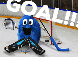 Ice Hockey Goal GIF by Fort Worth Water