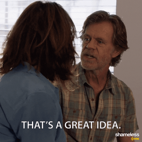 episode 8 great idea GIF by Shameless