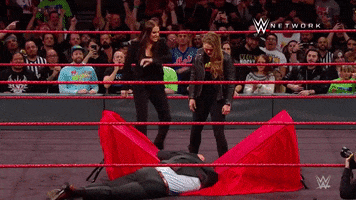Ronda Rousey Slap GIF by WWE