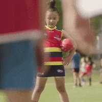 Come At Me Adelaide Crows GIF by NAB