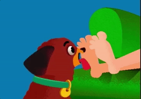 Dog Lick Feet Loop GIF