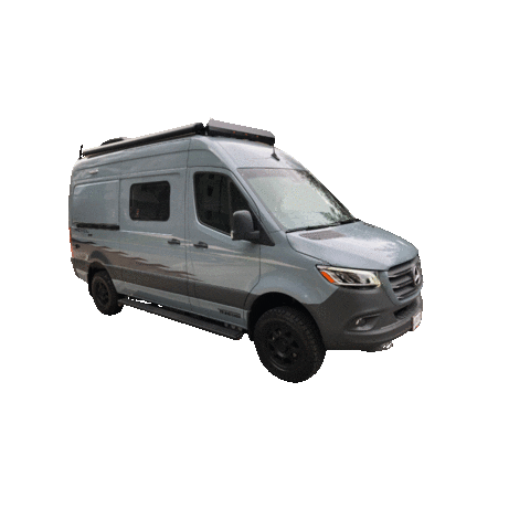 Walking Dog Training Sticker