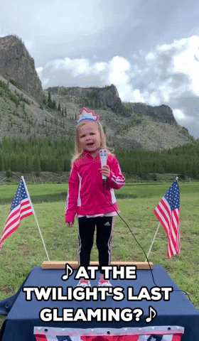 Independence Day Kids GIF by Storyful