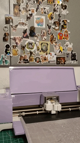 Vinyl Crafts GIF by Geekster Pets