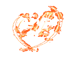 Macelleria Cillo dal 1985 Sticker