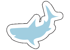 long wknd Sticker
