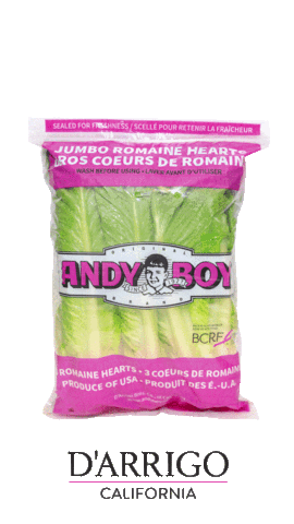 Fennel Romaine Sticker