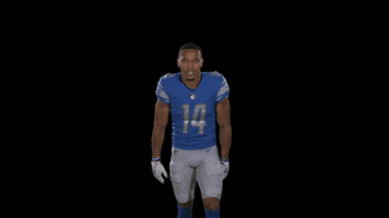 St Brown Football GIF by Detroit Lions