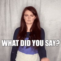 What Did You Just Say GIFs - Get the best GIF on GIPHY