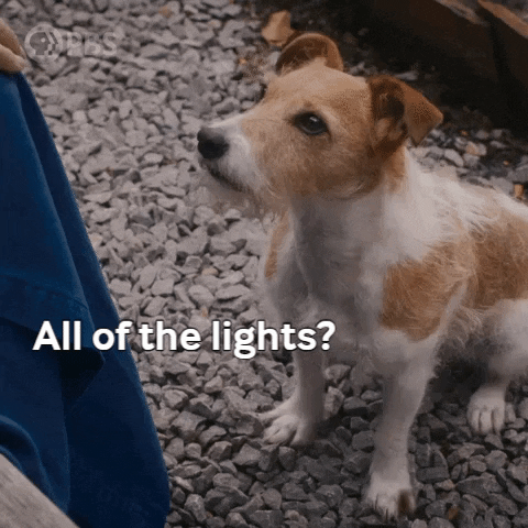 Animated GIF
