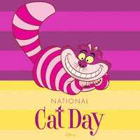 Alice In Wonderland Cat GIF by Disney