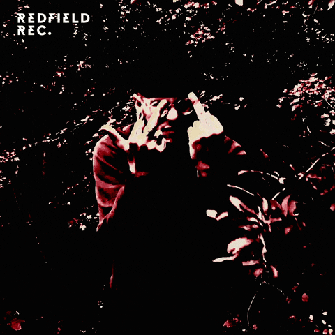 Middle Finger GIF by Redfield Records
