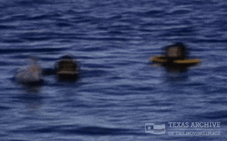 Water Hello GIF by Texas Archive of the Moving Image