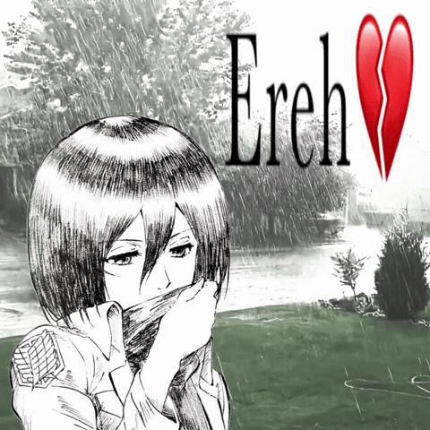 Attack On Titan Eren Jaeger GIF
