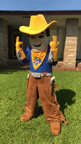 Guns Up GIF by McNeese State University