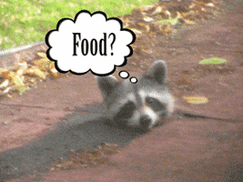 Hungry Americas Funniest Home Videos GIF