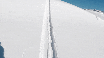 Glacier_3000 winter ski switzerland freeride GIF