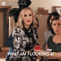Confused Schitts Creek GIF by CBC