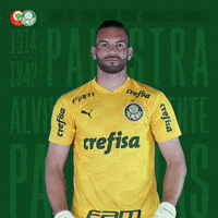Puma Palestra GIF by SE Palmeiras