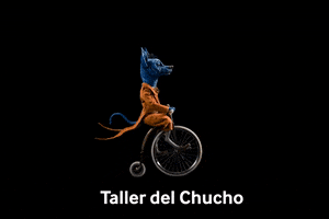 TallerdelChucho animation dog perro stopmotion GIF