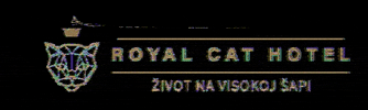 royalcathotel GIF