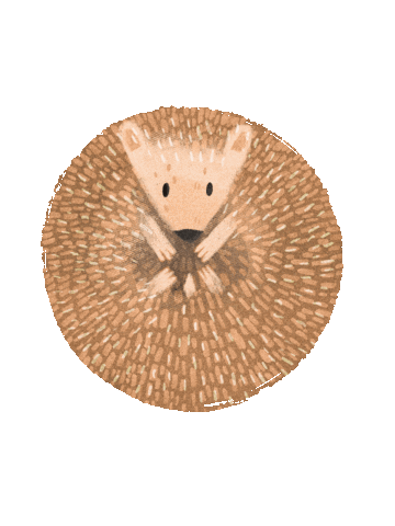 Pet Hedgehog Sticker by rileyalwayssmiley