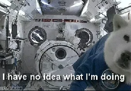 i have no idea what i'm doing GIF