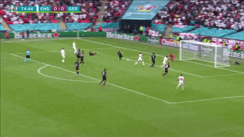 200.gif?cid=fc005b087fdc33bb90fdff6c48382ef1dd0a95e77f4bb7b2&rid=200.gif&ct=g
