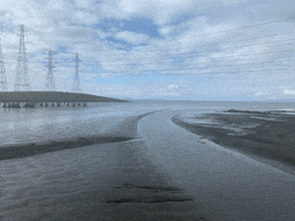 Living Estates Realty GIF