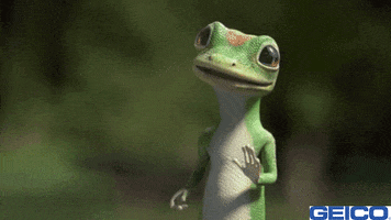Laugh Lol GIF by GEICO