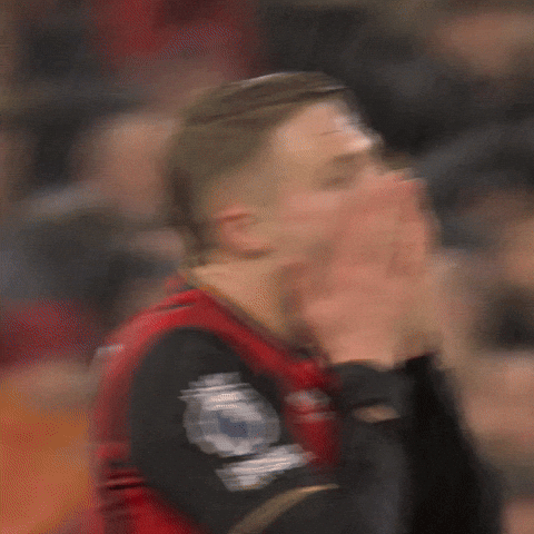Premier League Wow GIF by AFC Bournemouth
