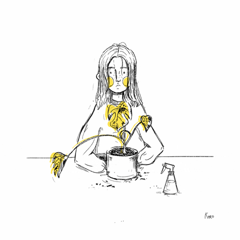 Plant GIF