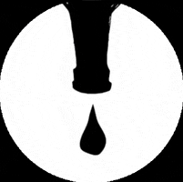 ZAPF! Craft Beer Festival Bern GIF