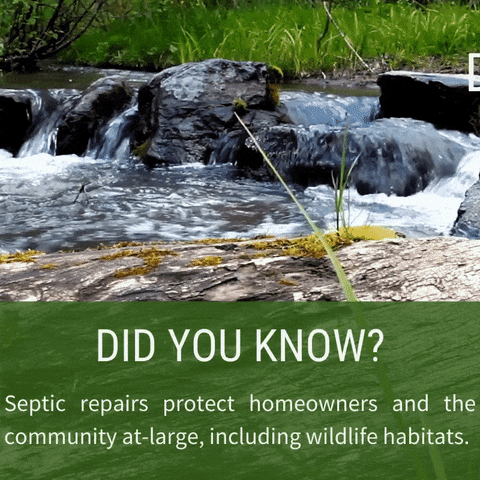 Rebuilding Together of the Triangle GIF