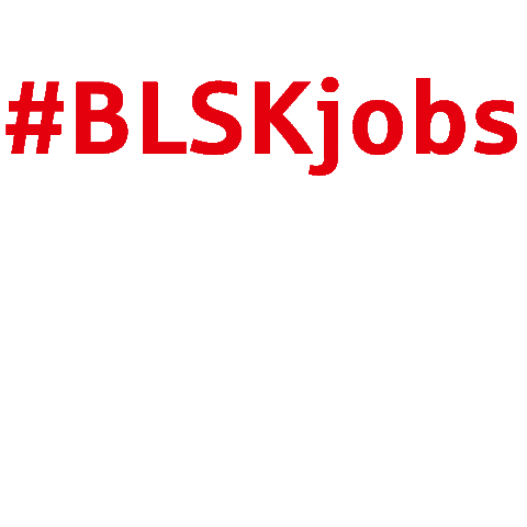 BLSK - Braunschweigische Landessparkasse Sticker