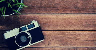 Founder's District Toastmasters GIF