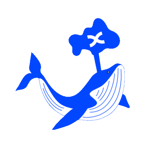 Crypto Bitcoin Sticker by BingX