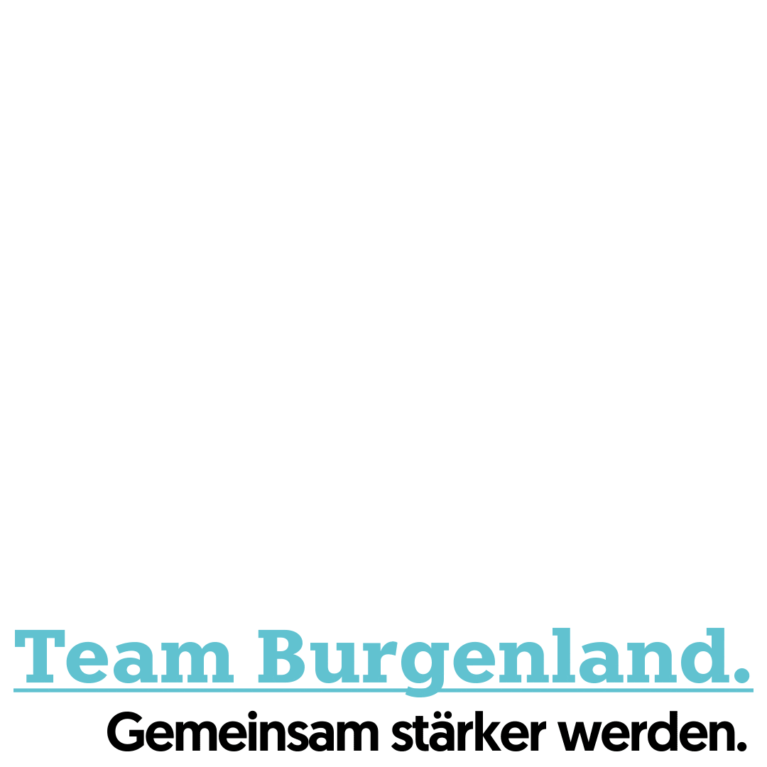 Team Vpb Sticker by Volkspartei Burgenland