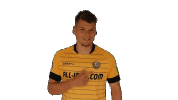 SG Dynamo Dresden Sticker