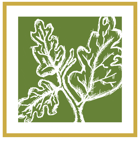 R&R Landscaping GIF