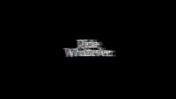 Race Whatever GIF by Go Fast Don't Die