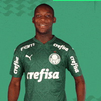 Patrick Puma GIF by SE Palmeiras