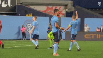 New York City Fc Blood GIF by NYCFC