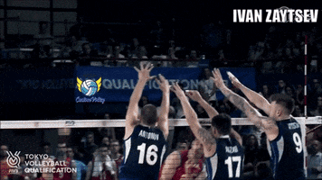 Volleyball Block GIF by CustomVolley