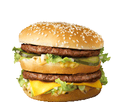 Apeldoorn Sticker by Blinq - the ultimate carwash