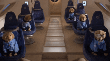 Dogs Nasa GIF by Air Bud Entertainment