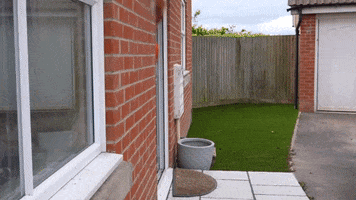 Crash GIF