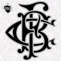 Botafogo De Futebol E Regatas Bfr GIF