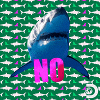 Discovery Channel GIF by Shark Week