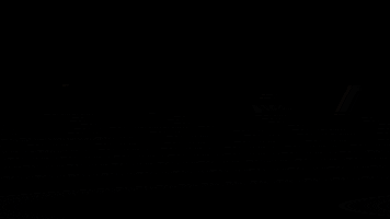 Army GIF